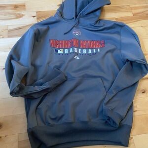 Washington Nationals Gray Hoodie
